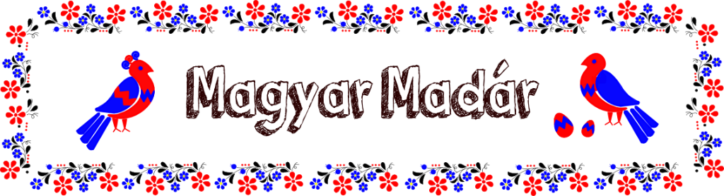 ハンガリー製カロチャ刺繍セット1
